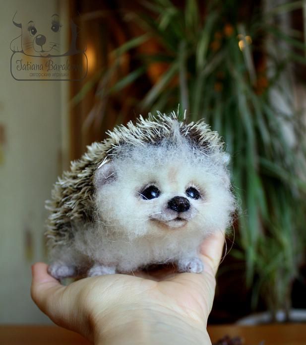 Hedgehog is a collectible toy and is not intended for small children.