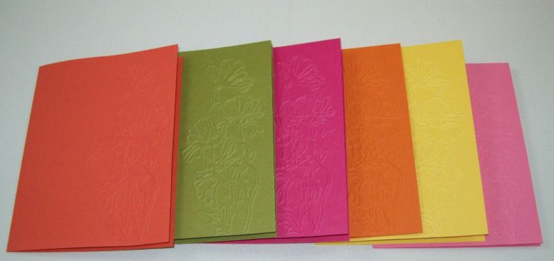 Stampin Up Flower Garden Embossed Cards Fronts Choice  