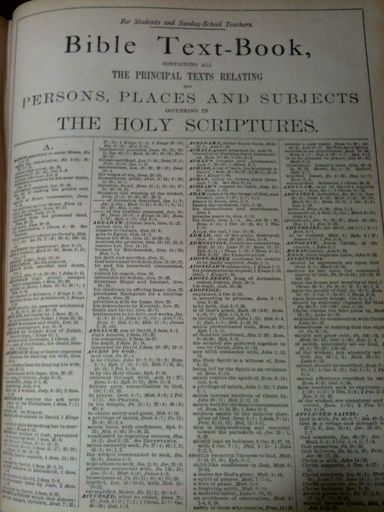 ANTIQUE FAMILY HOLY BIBLE CLASP UNMARKED COLOR PLATES 1895 LARGE 