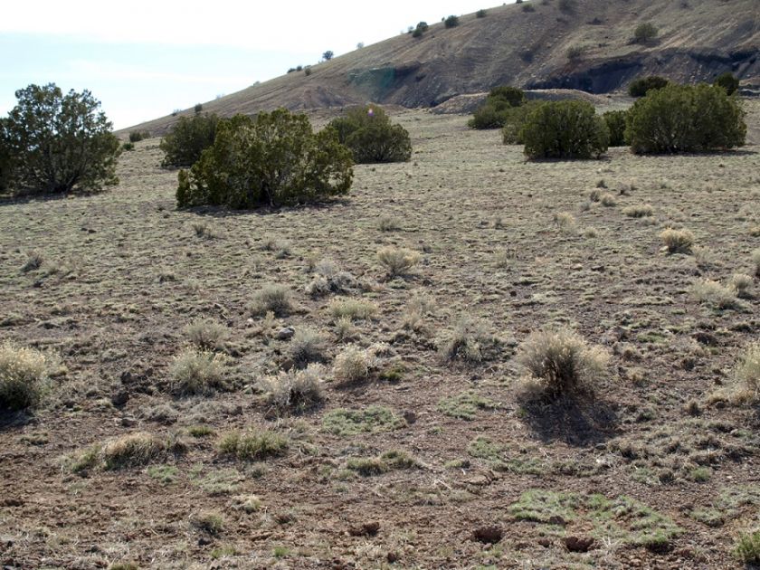 property information apn 201 29 284a apache county size 1 04 acres 150 