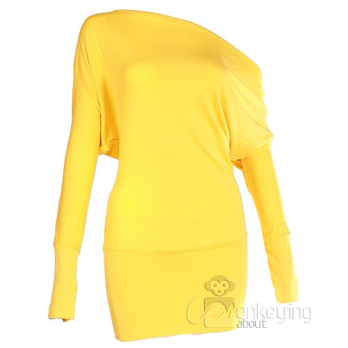 Ladies Batwing Top Long Sleeved Tunic Jumper Dress  