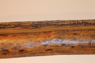 289 Barn beam rustic log shelf, 1800s Fir & Ash, 94 long live edge 