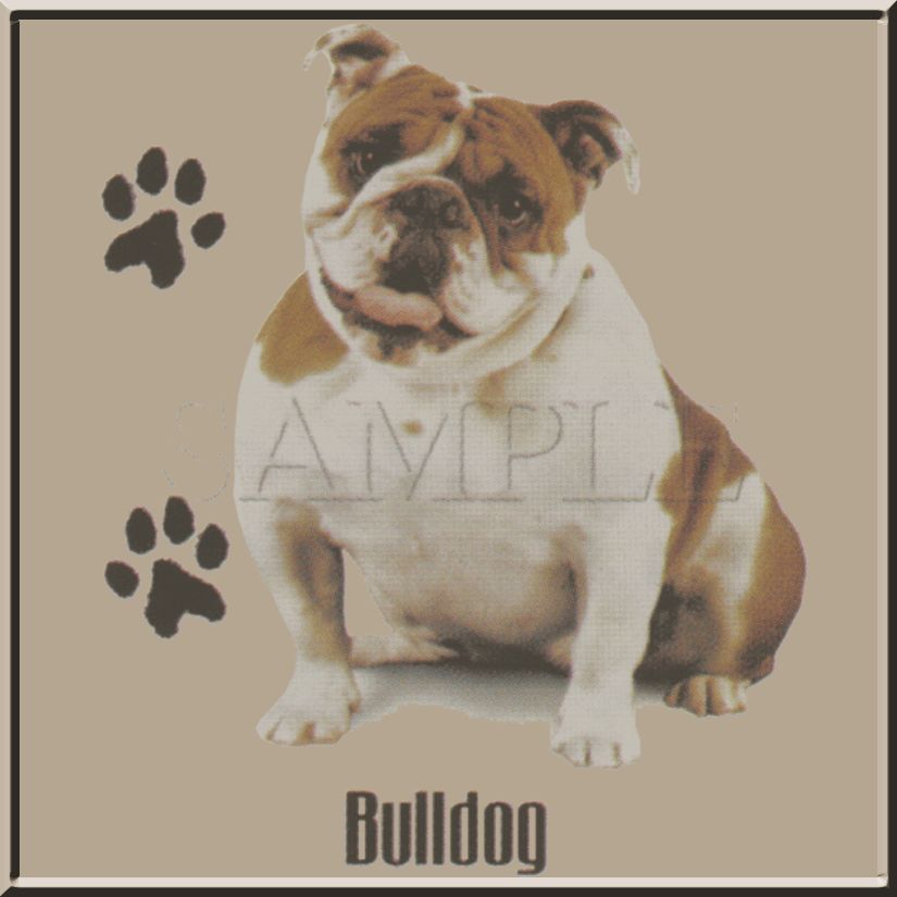 English Bulldog Photo Bull Dog Breed Shirt S 3X,4X,5X  