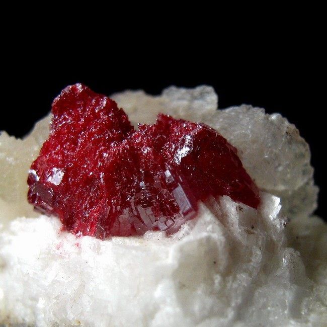 Gem Cinnabar Large Crystal on Dolomite AZ041  