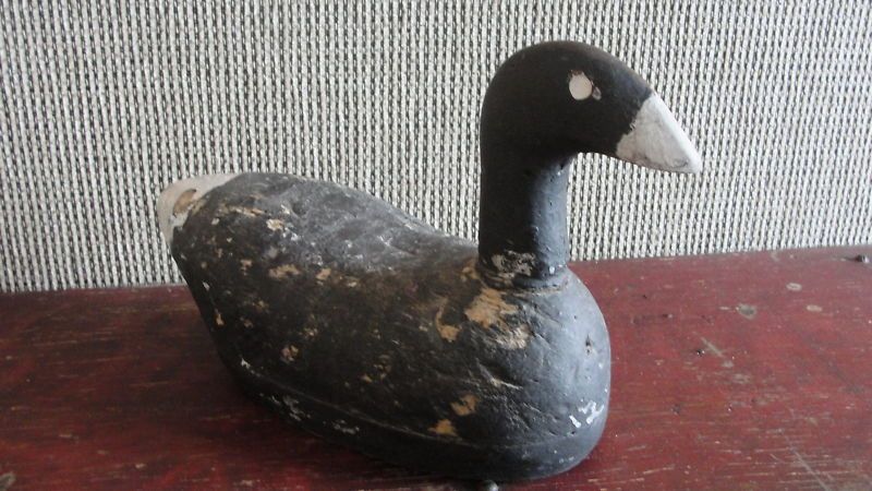 HAND CARVED RARE WOOD VTG COOT DUCK DECOY,LAKE POYGAN  