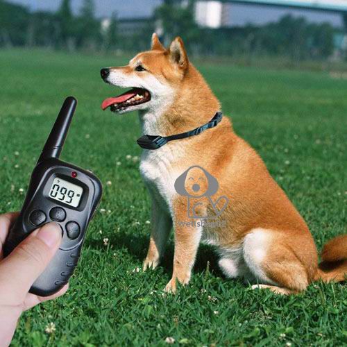 LCD 100LV Shock&Vibra Remote Dog Training Collar 300M  