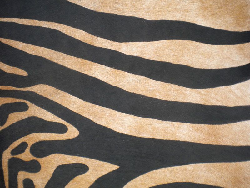 ZEBRA Print/Printed COWHIDE SKIN Rug COW HIDE DC3245  