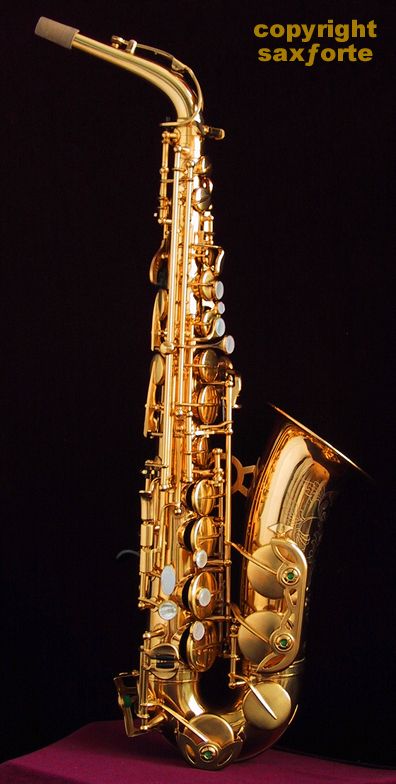   & CAZZANI R1 JAZZ ENGRAVED GOLD PLATED ALTO SAXOPHONE SAX  