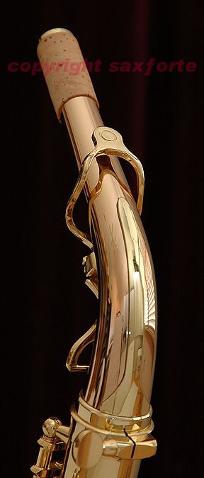   992 BRONZE ENGRAVED, CLEAR LACQUERED ALTO SAXOPHONE SAX NEW  